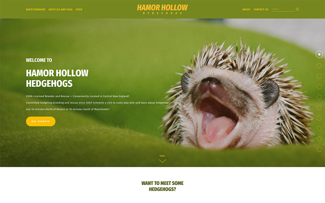 Hamor Hollow Hedgehogs